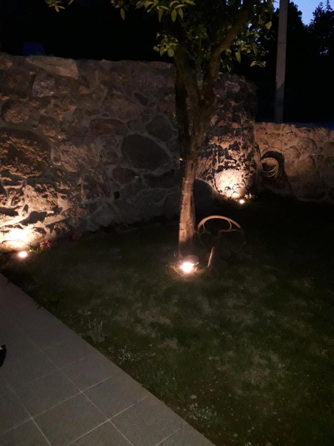 Quinta Da Casa Matilde - Nature House Holiday home