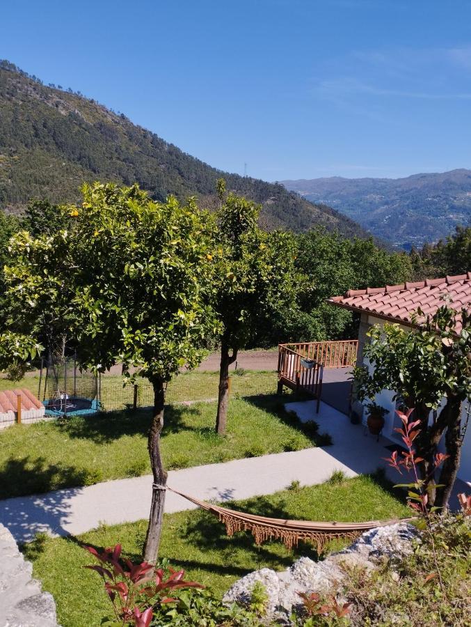 Holiday home Quinta Da Casa Matilde - Nature House