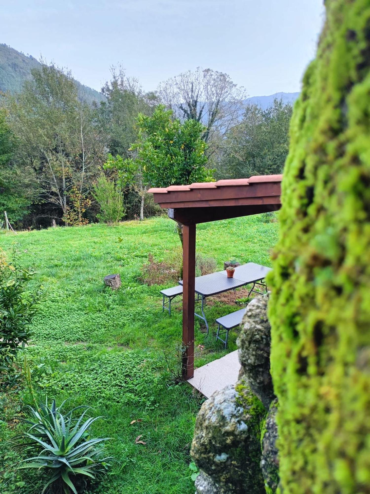 Holiday home Quinta Da Casa Matilde - Nature House *
